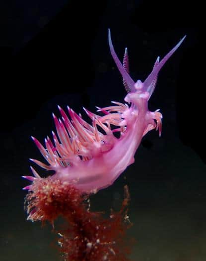 Mittelmeer & Atlantik