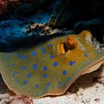 Oasis Hotel Ägypten,