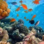 Aegypten_El_Gouna_3_Corners_04