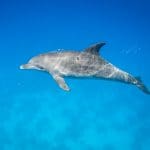 Aegypten_El_Gouna_3_Corners_10