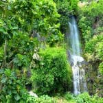 Grotte des premiers français