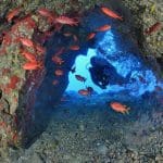 La_Réunion_06_IRT_Laurent_Beche