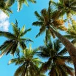 © IRT / Stephane Michel