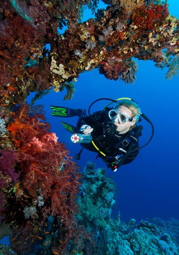 Nosy_Be_Exora_Profil