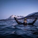 Tauchsafari Norwegen, Norwegen tauchen, Norwegen Orcas, Tauchen mit Walen, Walsafari Norwegen, Tauchreise Norwegen,