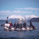 Tauchsafari Norwegen, Norwegen tauchen, Norwegen Orcas, Tauchen mit Walen, Walsafari Norwegen, Tauchreise Norwegen,