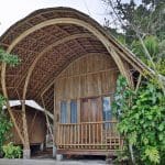 Procoisland_Halmahera02