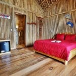 Procoisland_Halmahera03