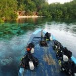 Procoisland_Halmahera10