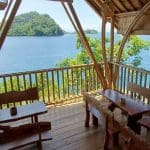 Procoisland_Halmahera11