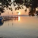 Procoisland_Halmahera12