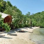 Procoisland_Halmahera13