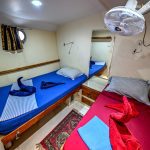 Hellhörige Tauchkabine mit zwei Betten, Meerblickfenster, persönlicher Atmosphäre, perfekt für Taucher.